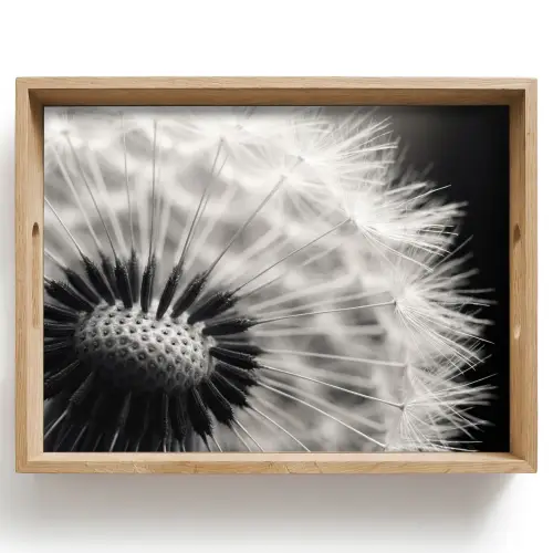 Paardenbloem - Zwart - Wit Dienblad Rechthoek middel -z3d_shopping