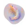 Garnaal - Subtiele structuur - Blauw - Roze Wandcirkel Organisch Forex 3mm klein -3d