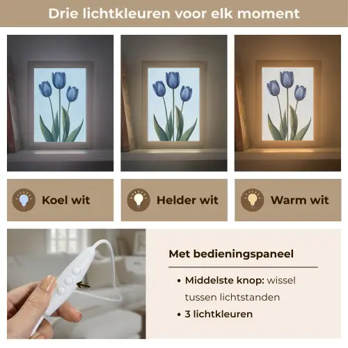 Tulpen - Blauw - Bladeren Light Box met kabel (Tafellamp) klein -USP_lichtkleurNL