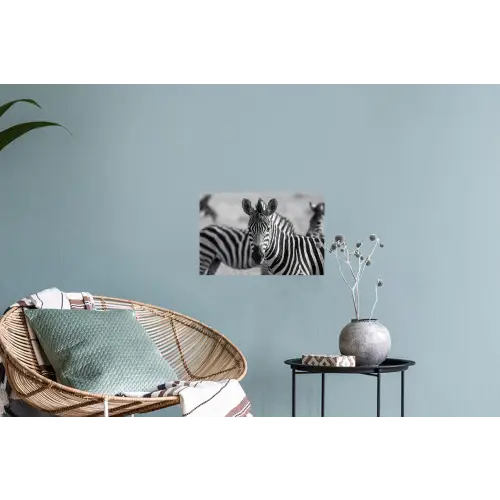 Zebra's - Zwart - Wit Muursticker klein -plant