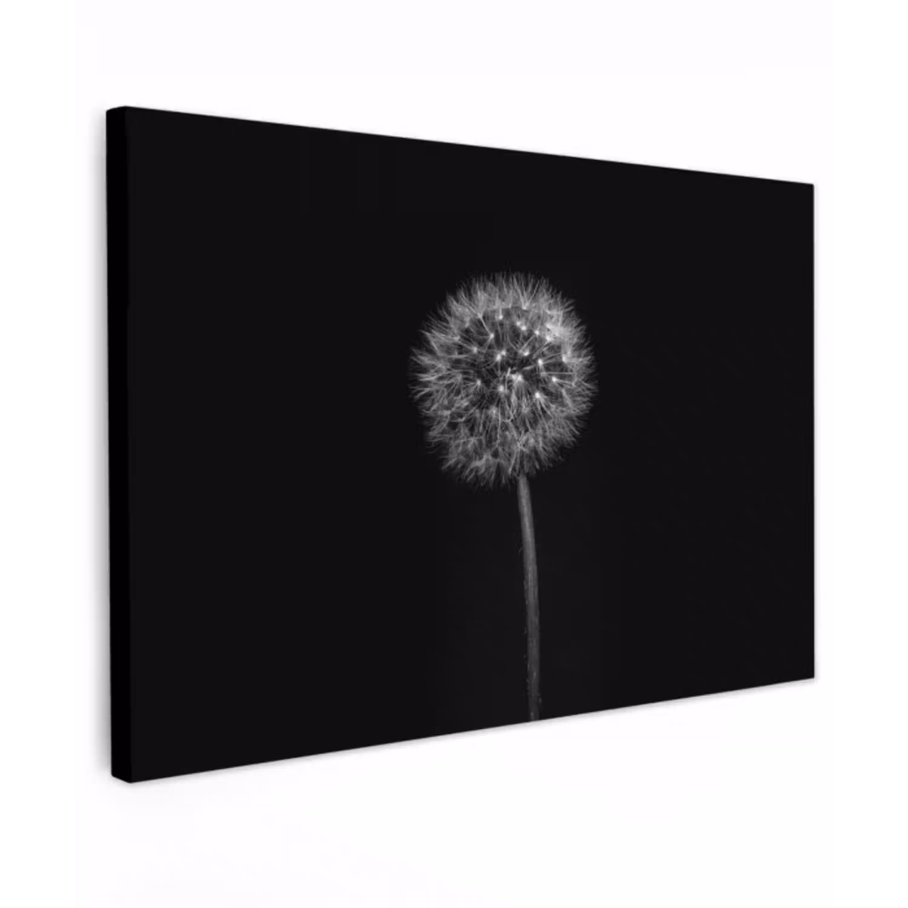 Paardenbloem - Zwart - Bloemen - Botanisch Tuinposter op houten frame 2 cm dik klein -3d