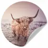 Schotse hooglanders - Licht - Lucht - Natuur Wandcirkel behangsticker klein -3d