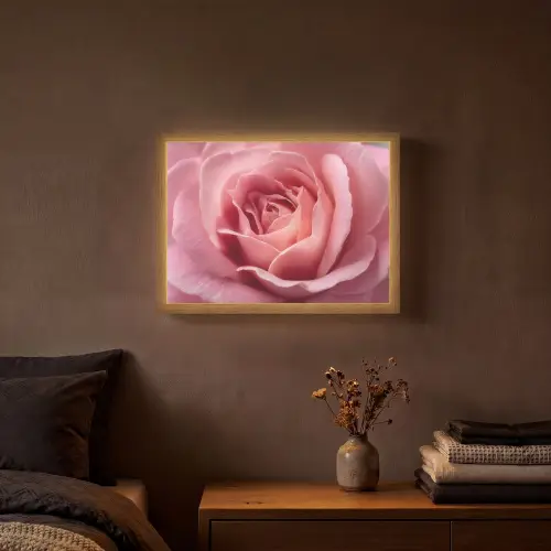 Roze - Roos - Romantisch Light Box met batterij (Wandlamp) middel -sfeer4