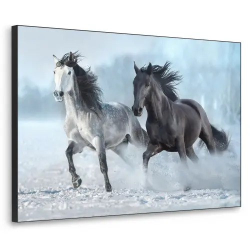 Paarden - Winter - Dieren - Natuur - Sneeuw Textielframe zwart klein -3d