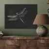 Libelle - Dieren - Zwart - Insect PET vilt klein -sfeer2