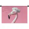 Flamingo - Roze - Koksmuts - Vogel Wandkleed katoen klein -zz3d