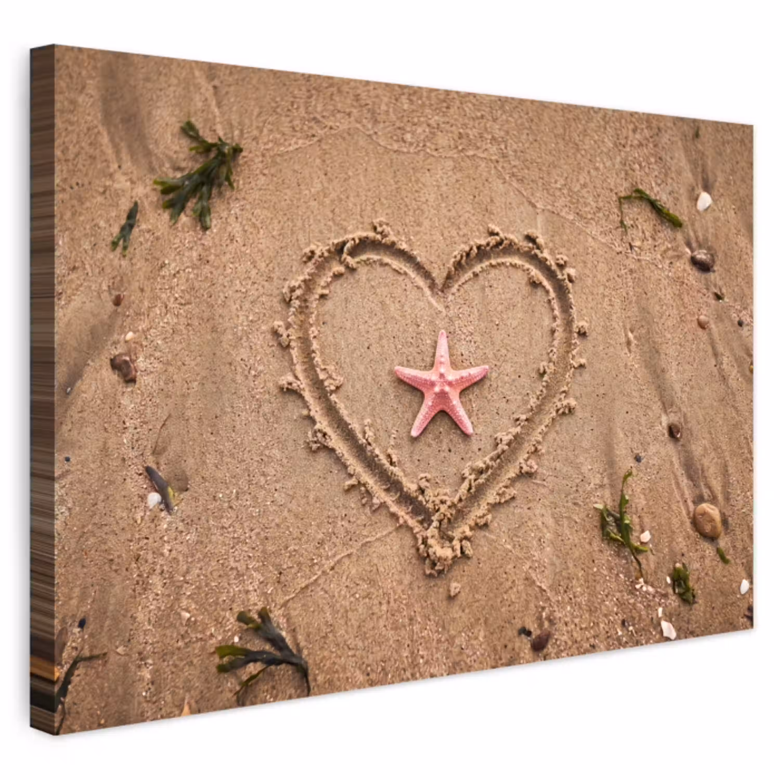 Dieren - Hart - Strand - Zand - Roze Tuinposter op houten frame 2 cm dik klein -3d