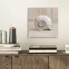 Schelp - Spiraal - Beige plexiglas 5mm klein -sfeer1