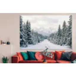 Weg - Sneeuw - Naaldbos - Winter - Avontuurlijk forex 5mm xxl -woonkamer