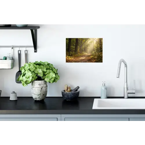 Zonlicht - Bospad - Bomen Muursticker klein -keuken