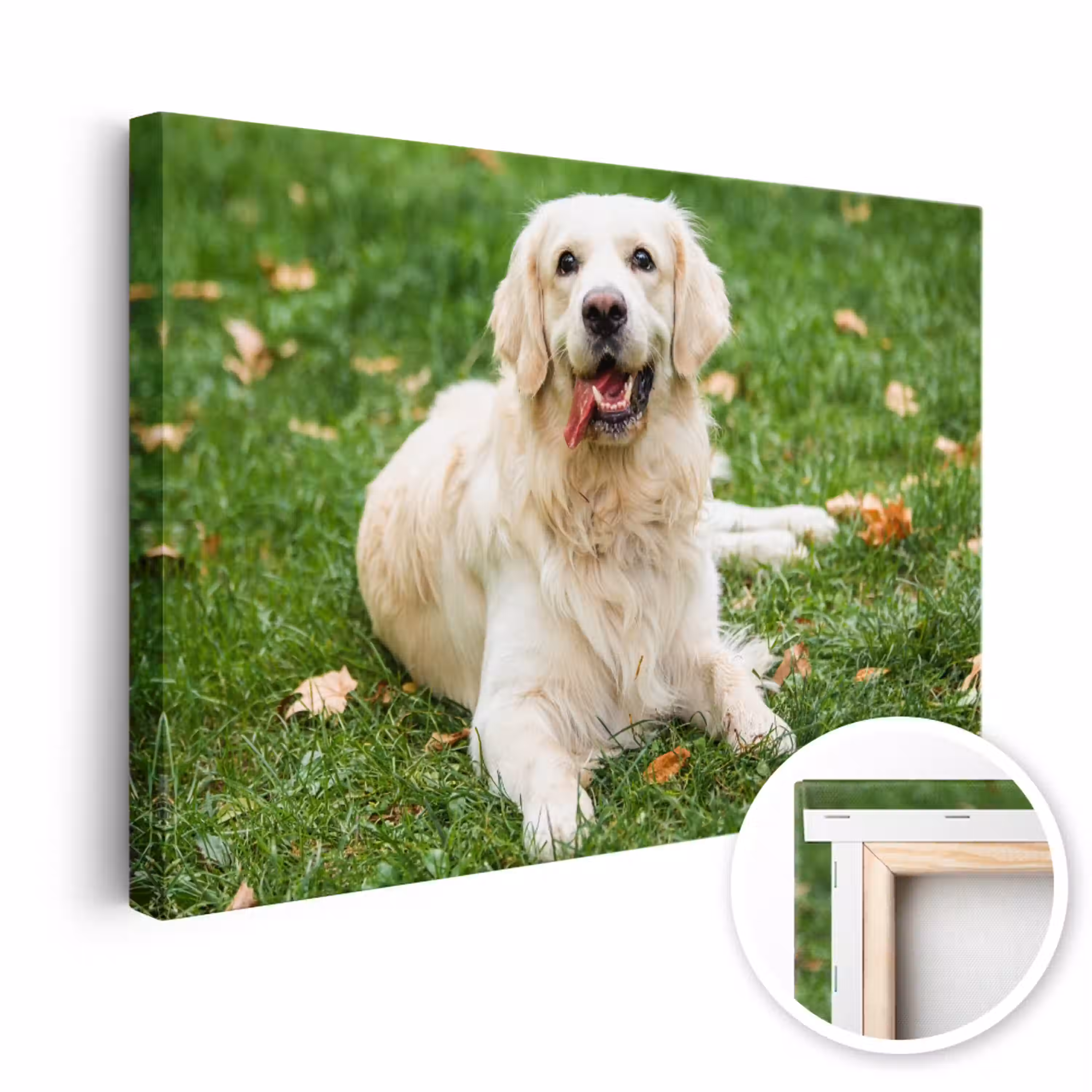 canvas-b-product1-1.png