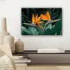 Paradijsvogel - Bloem - Exotisch canvas 2cm klein -sfeer6