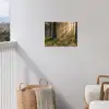 Bos - Zonlicht - Gras tuinposter los doek klein -sfeer8
