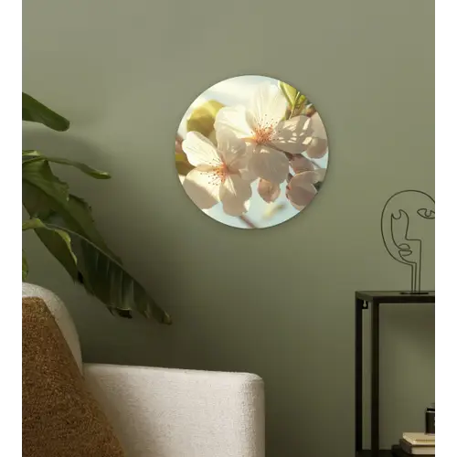 Bloesems - Wit - Zonnestralen -  Bloemblaadjes Wandcirkel kunststof plaat 5mm dik klein -sfeer3