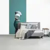 Parkiet - Vogel - Koksmuts - Cute fotobehang vinyl groot -slaapkamer