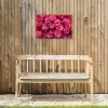 Rozen - Pink - Bloem Tuinposter op houten frame 2 cm dik klein -sfeer4