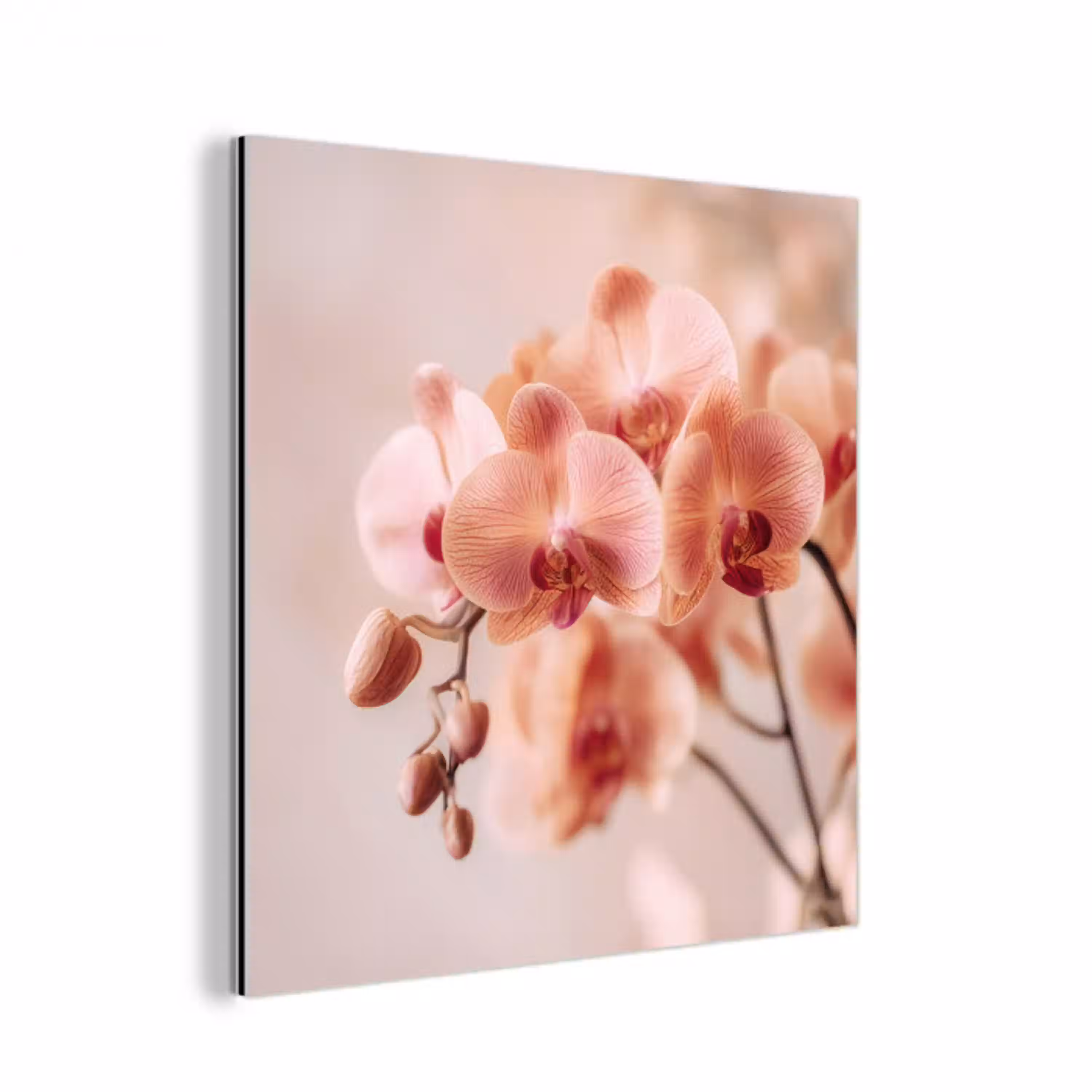 Orchidee - Bloemen - Roze - Bloemblaadjes aluminium wit klein -3d