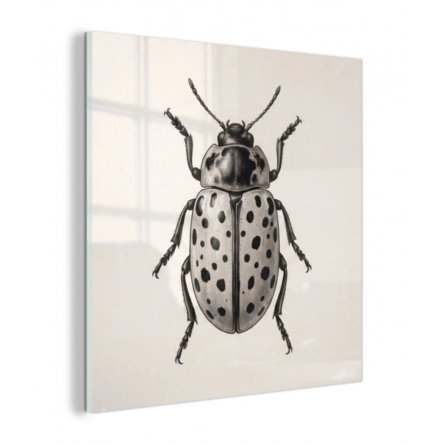 Kever - Insect - Vintage plexiglas 5mm klein -z3d
