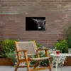 Schotse hooglander - Goud - Vacht - Dieren - Koe Tuinposter op houten frame 2 cm dik klein -sfeer3