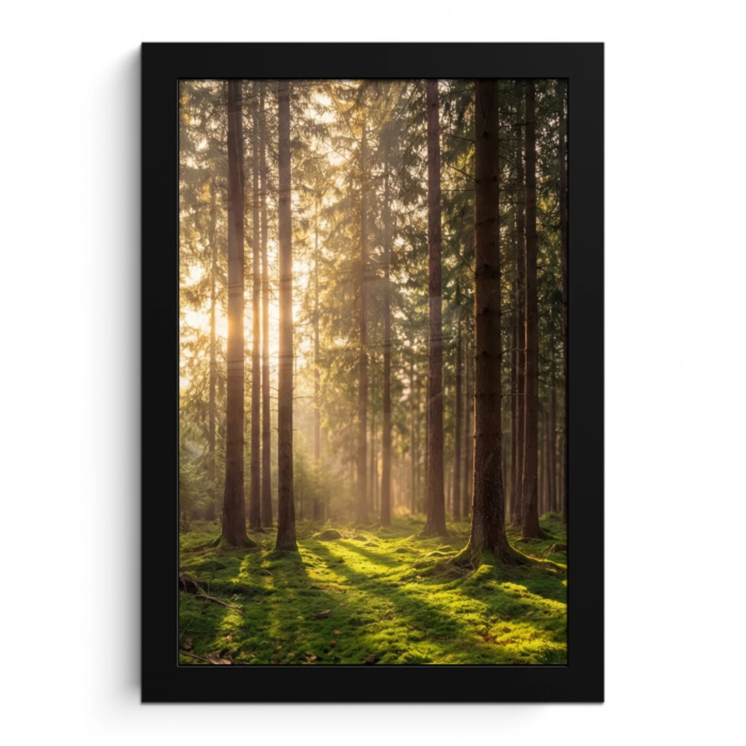 Bos - Gras - Zonlicht fotolijst zwart zonder passe partout klein -3d