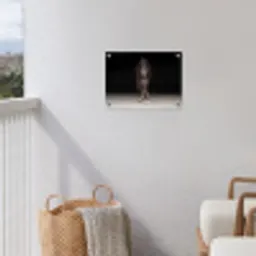 Paard - Modern - Portret tuinposter los doek klein -sfeer8
