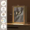 Pampasgras - Pluim - Zwart - Beige Light Box met kabel (Tafellamp) klein -USP_websiteoverzichtNL