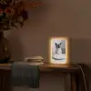 Kat - Siamees - Zwart Wit - Schattig - Dieren Light Box met kabel (Tafellamp) klein -sfeer4