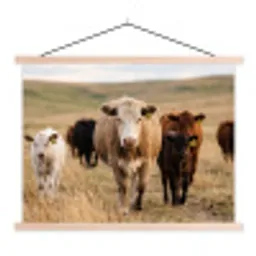 Runderen - Kudde - Landschap - Weide - Rustig textielposter latten blank klein -3d