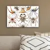 Retro - Spin - Ernst Haeckel - Spinnen canvas 2cm klein -sfeer3