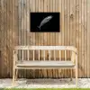 Makreel - Vis - Zwart Tuinposter op houten frame 2 cm dik klein -sfeer4