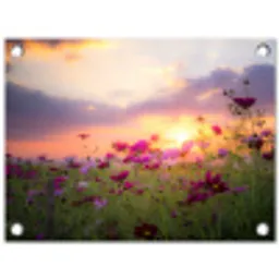 Bloemenveld bij zonsondergang tuinposter los doek klein -3d