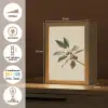 Tak - Groene Bladeren - Vruchten Light Box met kabel (Tafellamp) klein -USP_NL