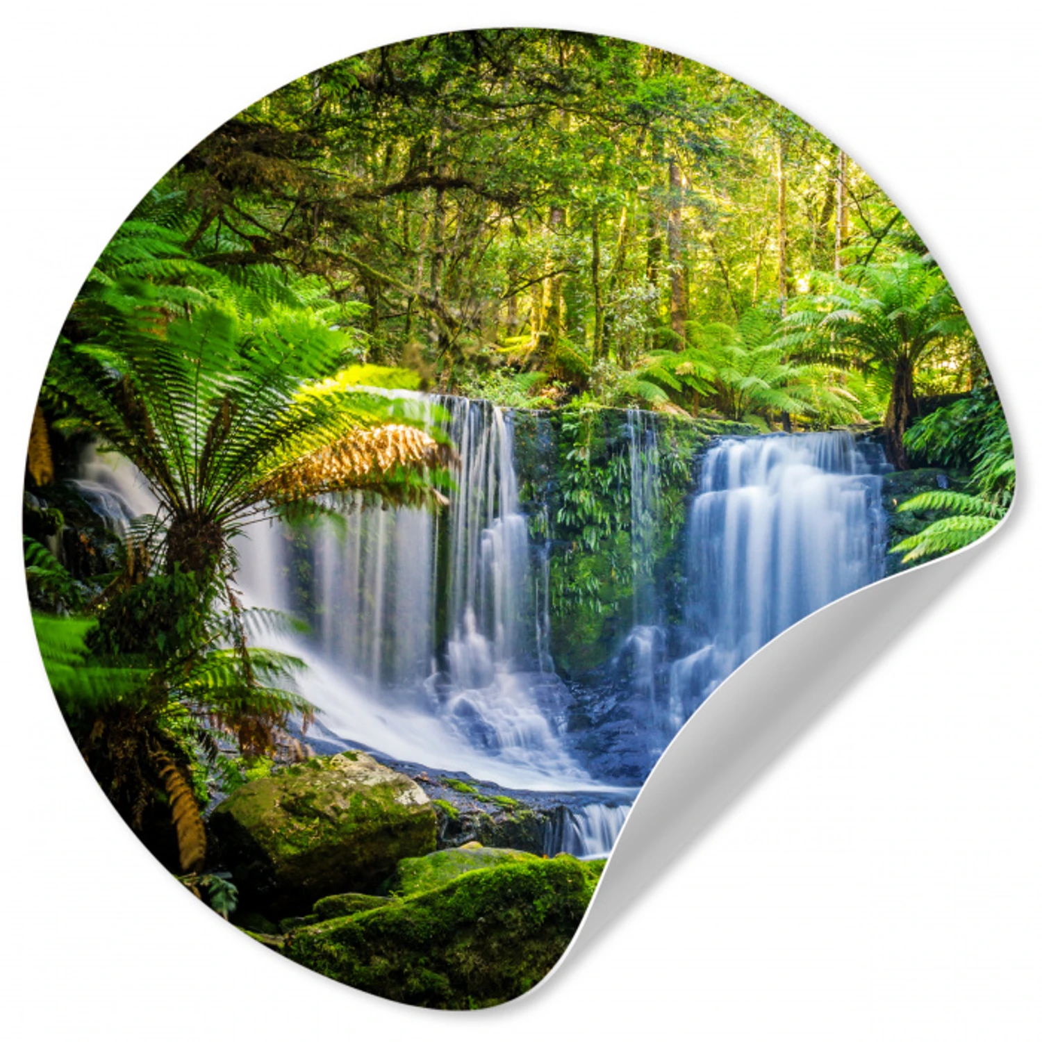 Jungle - Waterval - Australië - Planten - Natuur Wandcirkel behangsticker klein -3d