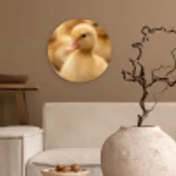 Pijltje - Eend - Natuur - Geel Wandcirkel kunststof plaat 5mm dik klein -sfeer1