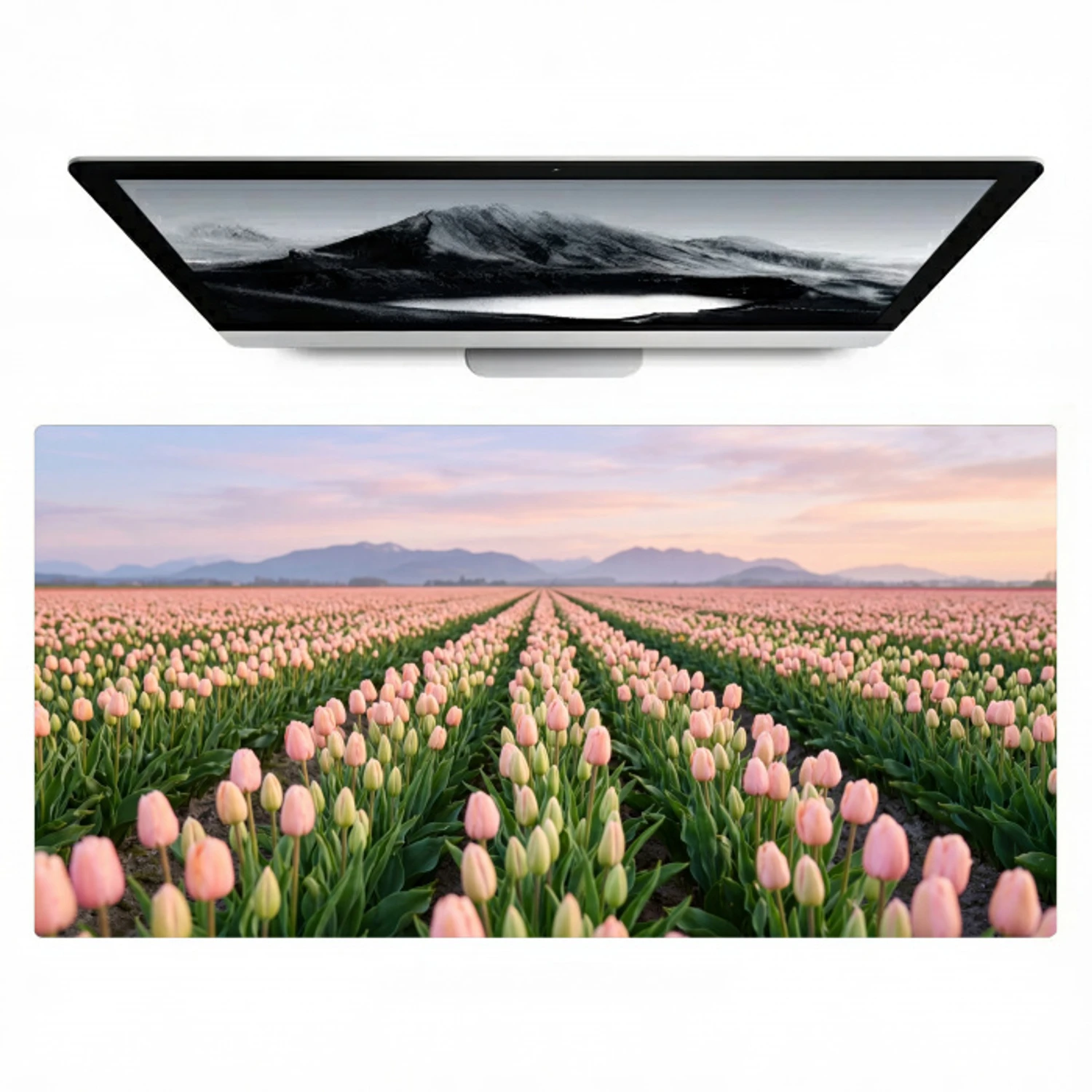 Tulpen - Landschap - Roze Muismat XXL klein -zzz3d