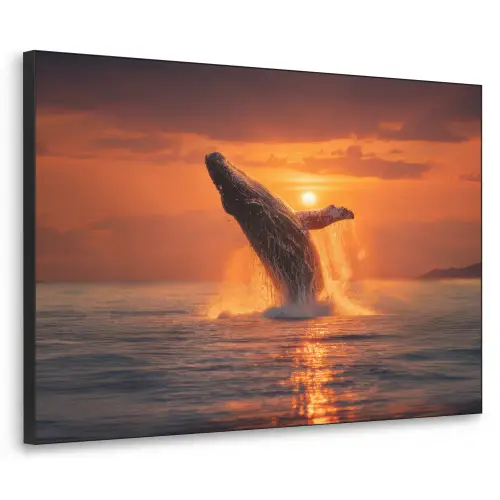 Walvis - Zon - Zee Textielframe zwart klein -3d