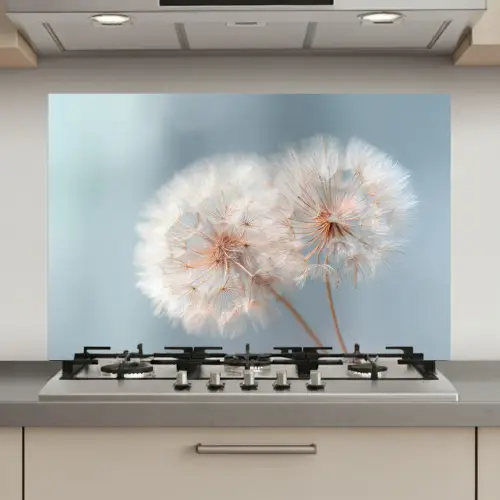 Paardenbloemen - Pluisjes - Wit keuken achterwand spatscherm klein -3d_website