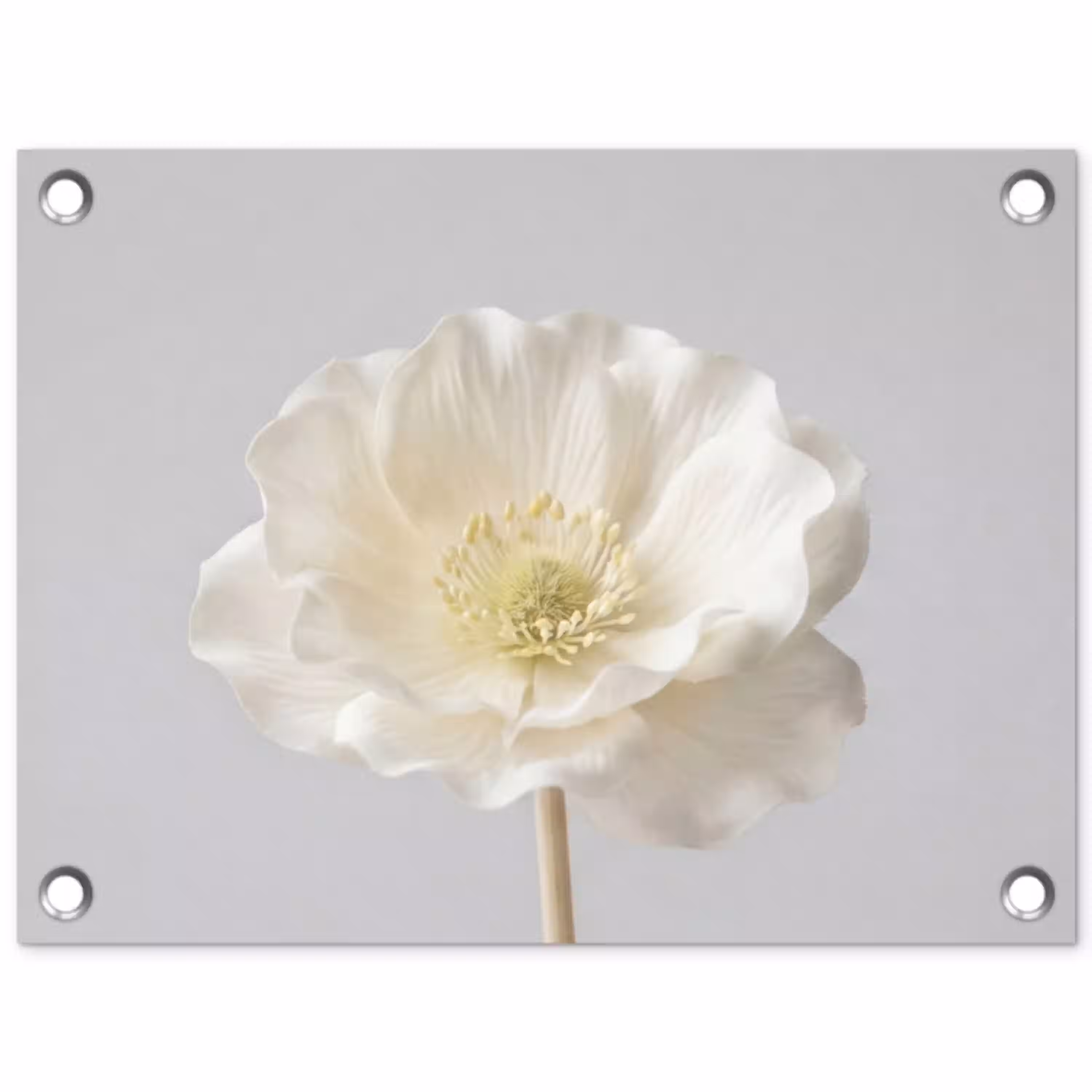 Bloem - Minimalistisch -Wit tuinposter los doek klein -3d