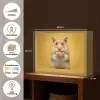 Hamster - Nootje - Geel - Knaagdier Light Box met batterij (Wandlamp kind) middel -USP_websiteoverzichtNL