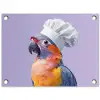 Papegaai - Koksmuts - Paars - Cute tuinposter los doek klein -3d