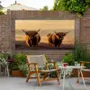 Schotse hooglanders - Heide - Landschap - Dieren Tuinposter op houten frame 2 cm dik xxl -sfeer3