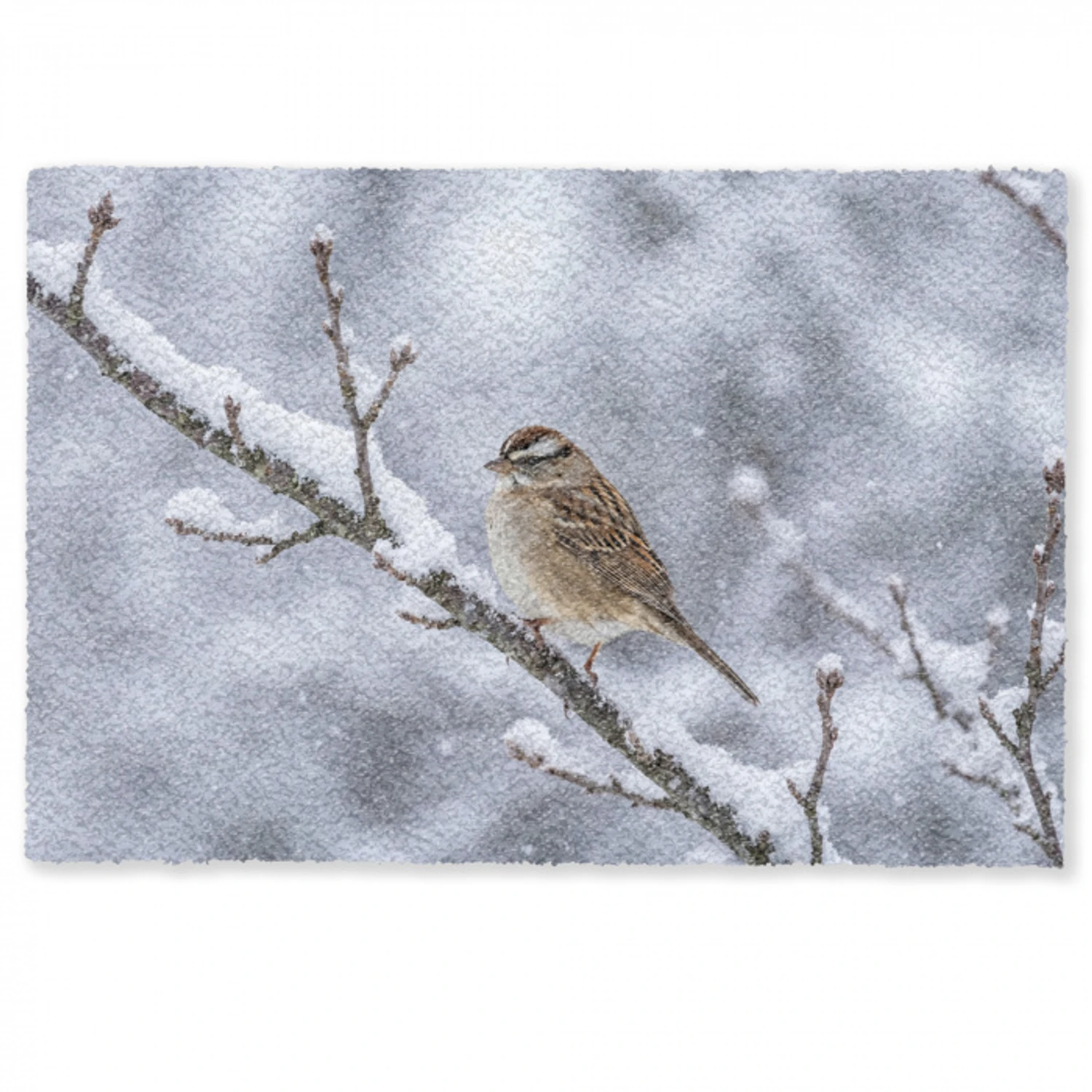 Vogel - Tak - Sneeuw - Winter Deurmat klein -zkaufland3d