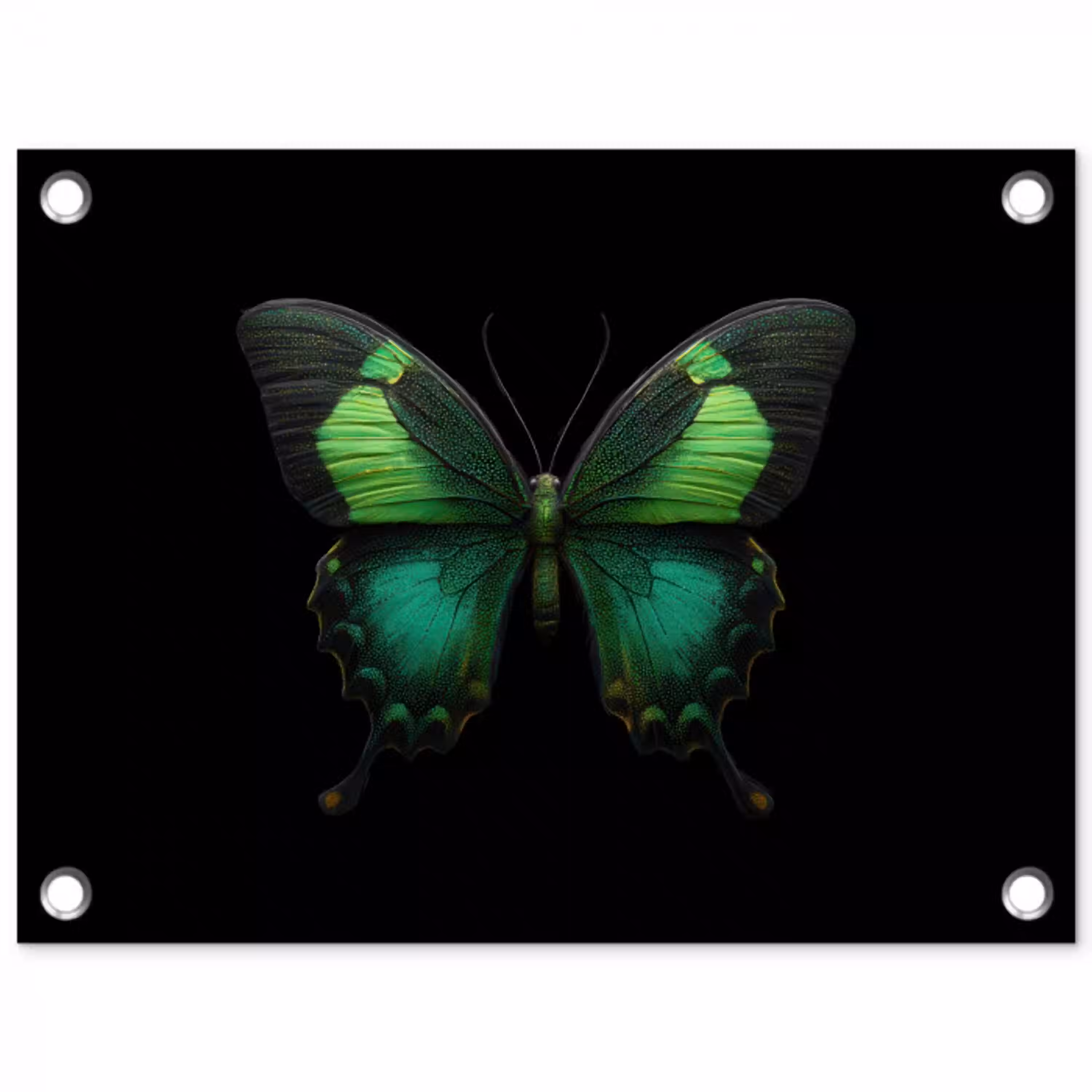 Vlinder - Groen - Opvallend tuinposter los doek klein -3d