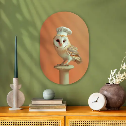 Kerkuil - Koksmuts - Oranje - Vogel Wandcirkel Ovaal Forex klein -sfeer2