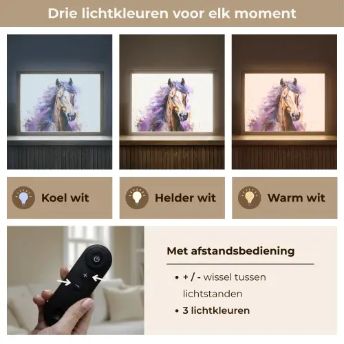 Paard - Dieren - Meiden - Paars - Bruin Light Box met batterij (Wandlamp kind) middel -USP_lichtkleurNL