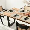 Agaveplant - Symmetrisch - Groen Placemat vinyl groot -zzsfeer4_Kitchenyeah-website