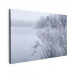 Riet - Bevroren - Winter - Natuur canvas 2cm klein -z3d