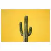 Cactus - Groen - Minimalistisch poster papier klein -3d