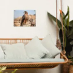 Valk - Vogel - Rots - Macht tuinposter los doek klein -sfeer7