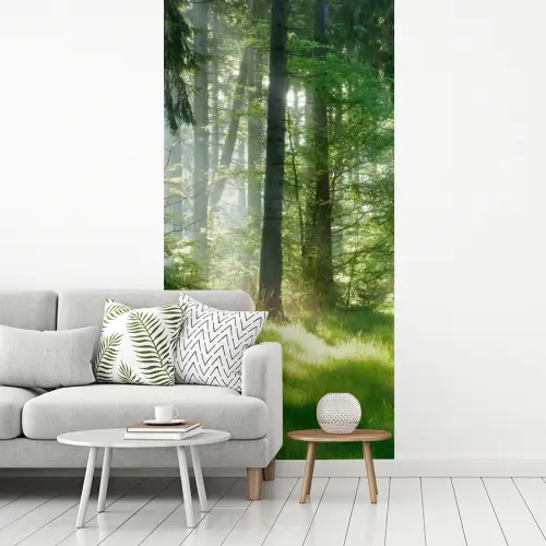 Natuur - Bomen - Bos - Groen - Zon fotobehang vinyl groot -woonkamer